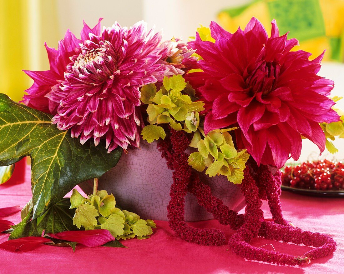 Arrangement of Dahlias ('Garden Wonder') and Bells of Ireland