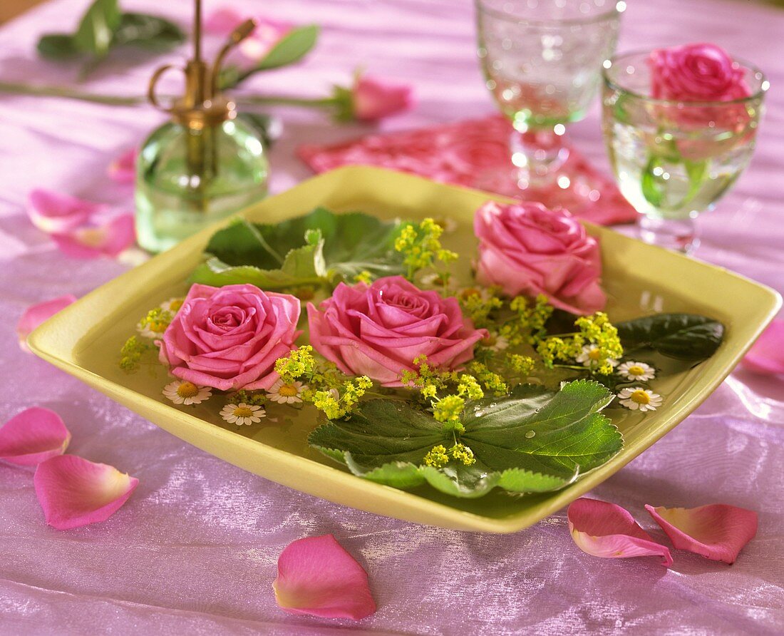 Bowl of roses and lady's mantle