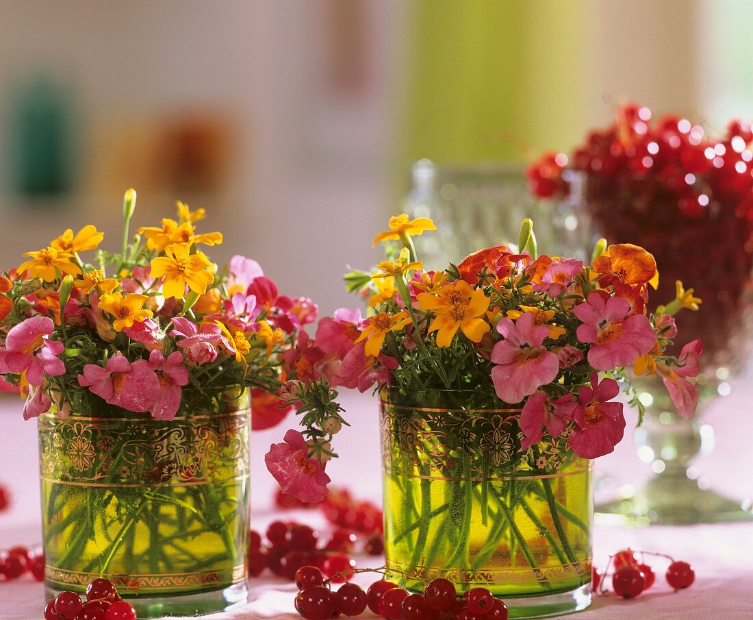 Nemesia and Tagetes