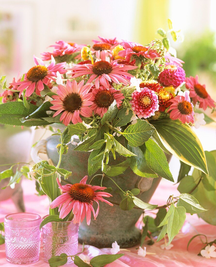 Purple coneflower with Hosta and Phlox