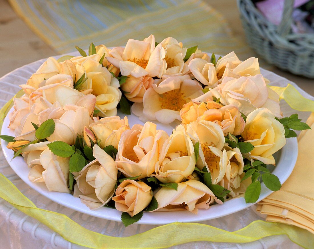 Wreath of 'Frühlingsgold' roses 