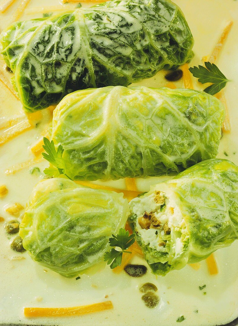 Herb Cream Cheese Cabbage Roulade