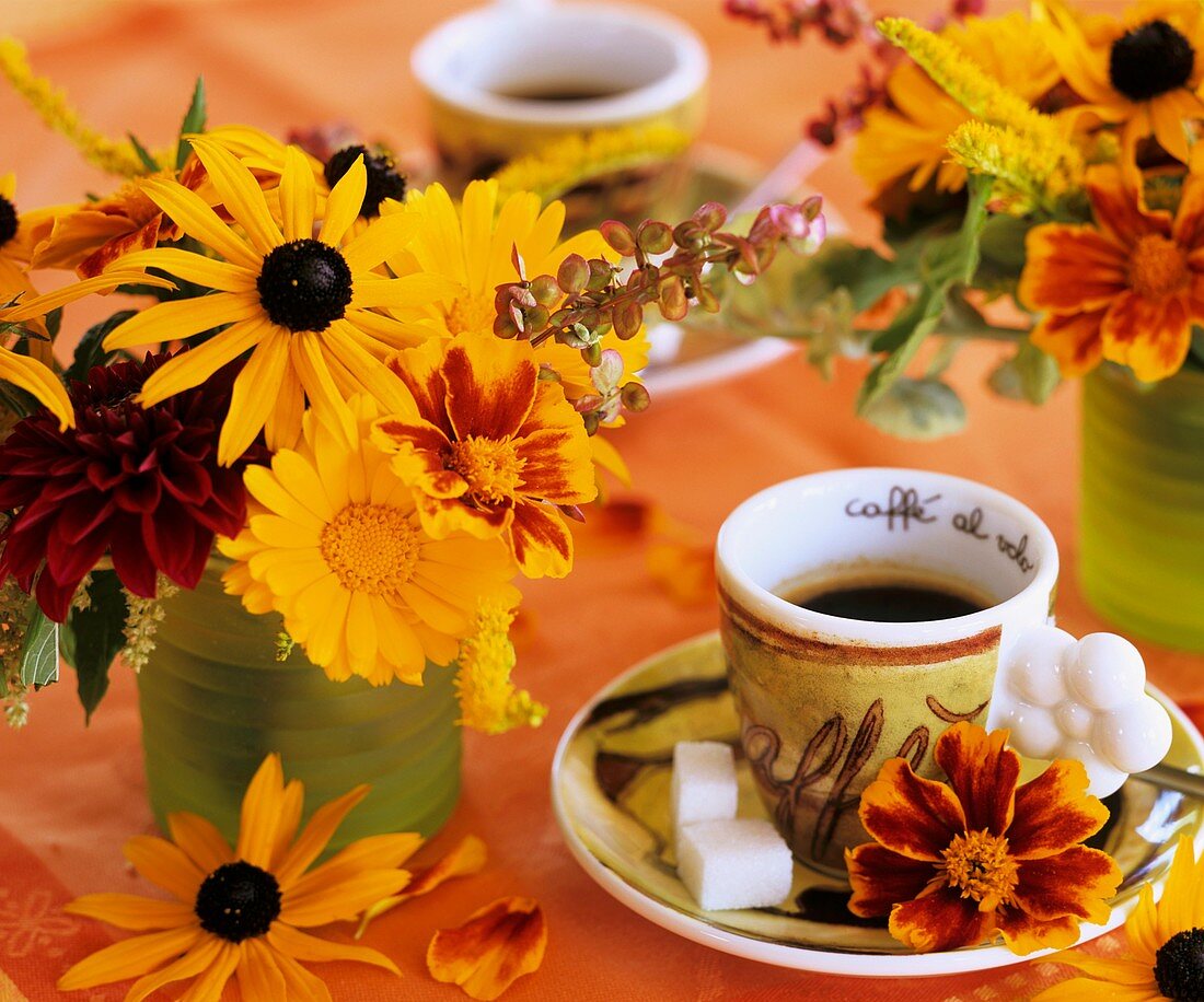 Rudbeckia, Tagetes, marigold and dahlia