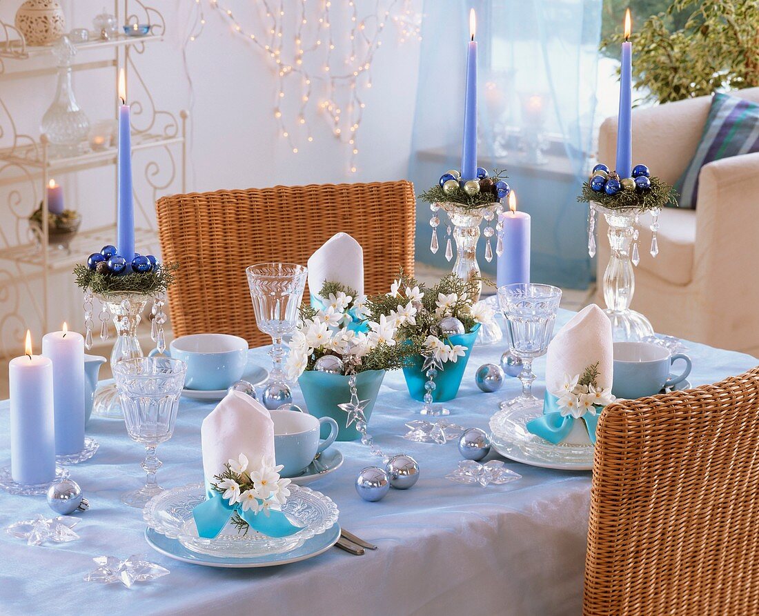 Blue & white Christmas table decorations with Tazetta narcissi