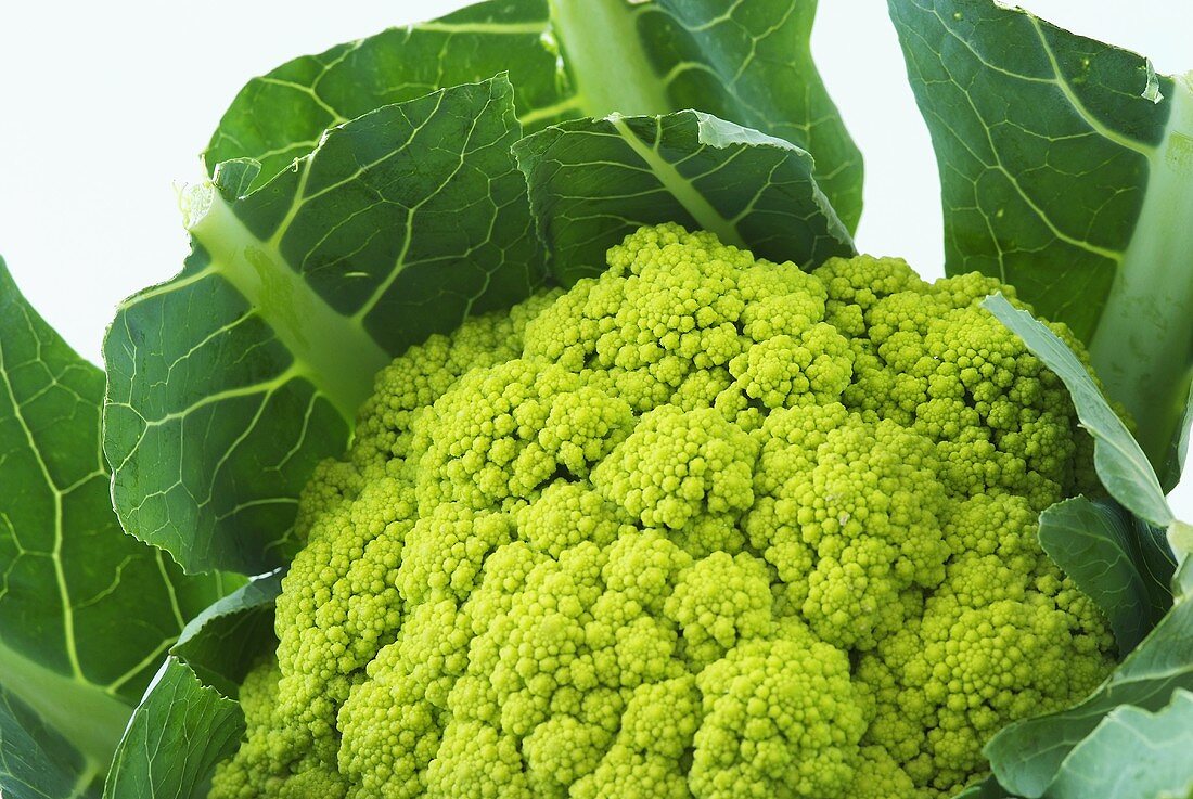 A green cauliflower