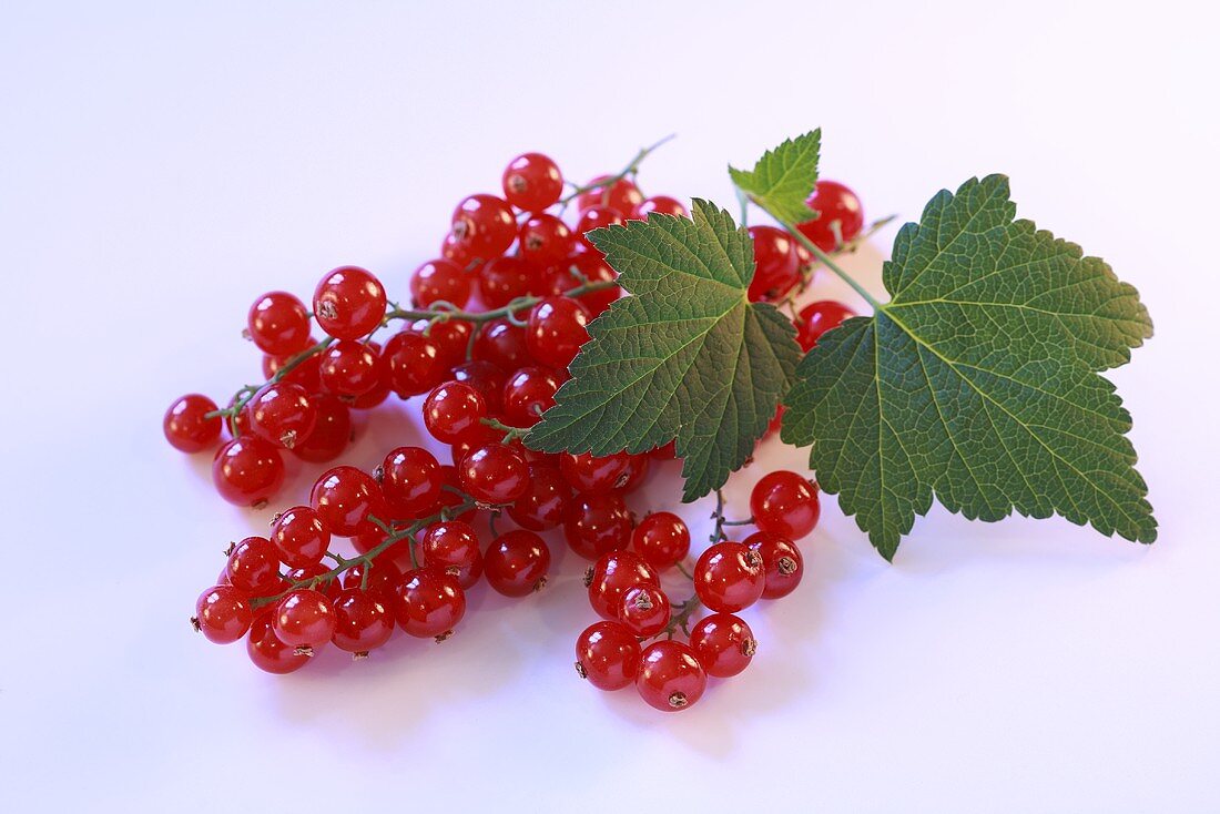 Rote Johannisbeeren mit Blättern