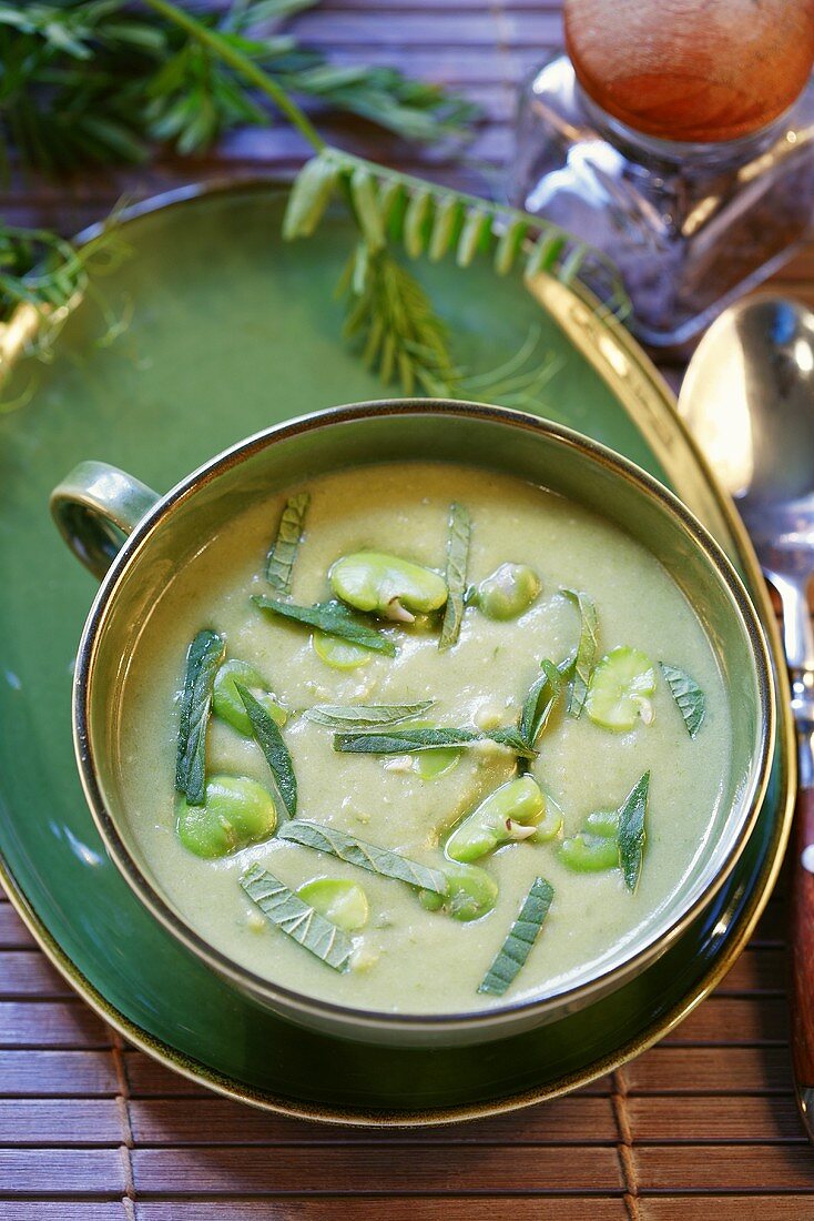 Broad bean soup with herbs
