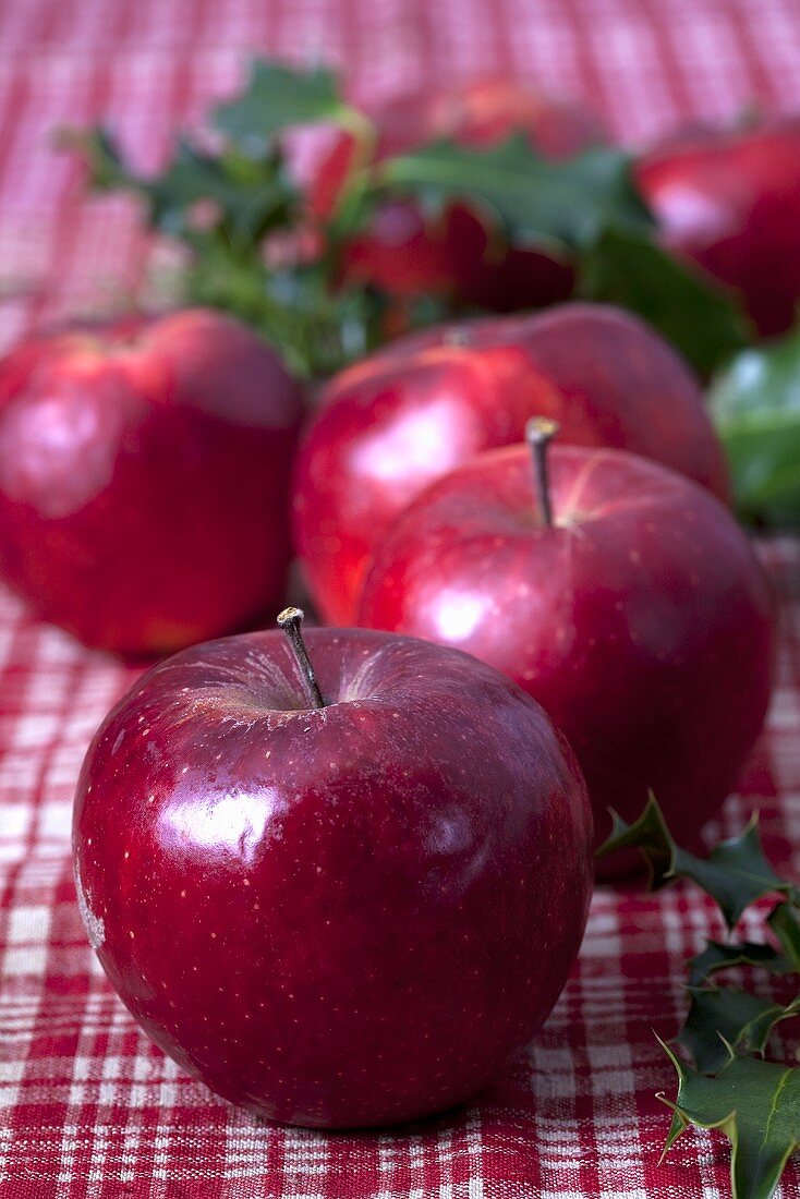 Rote Äpfel und Ilex auf karierem Tischtuch