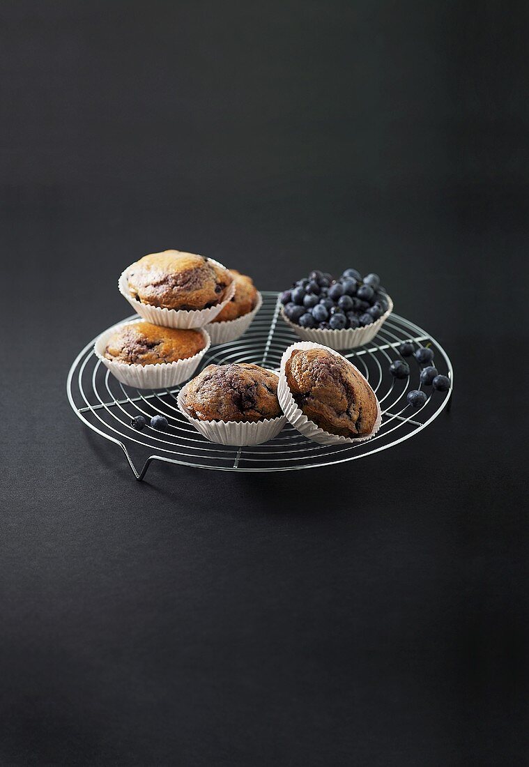 Blaubeer-Buttermilch-Muffins