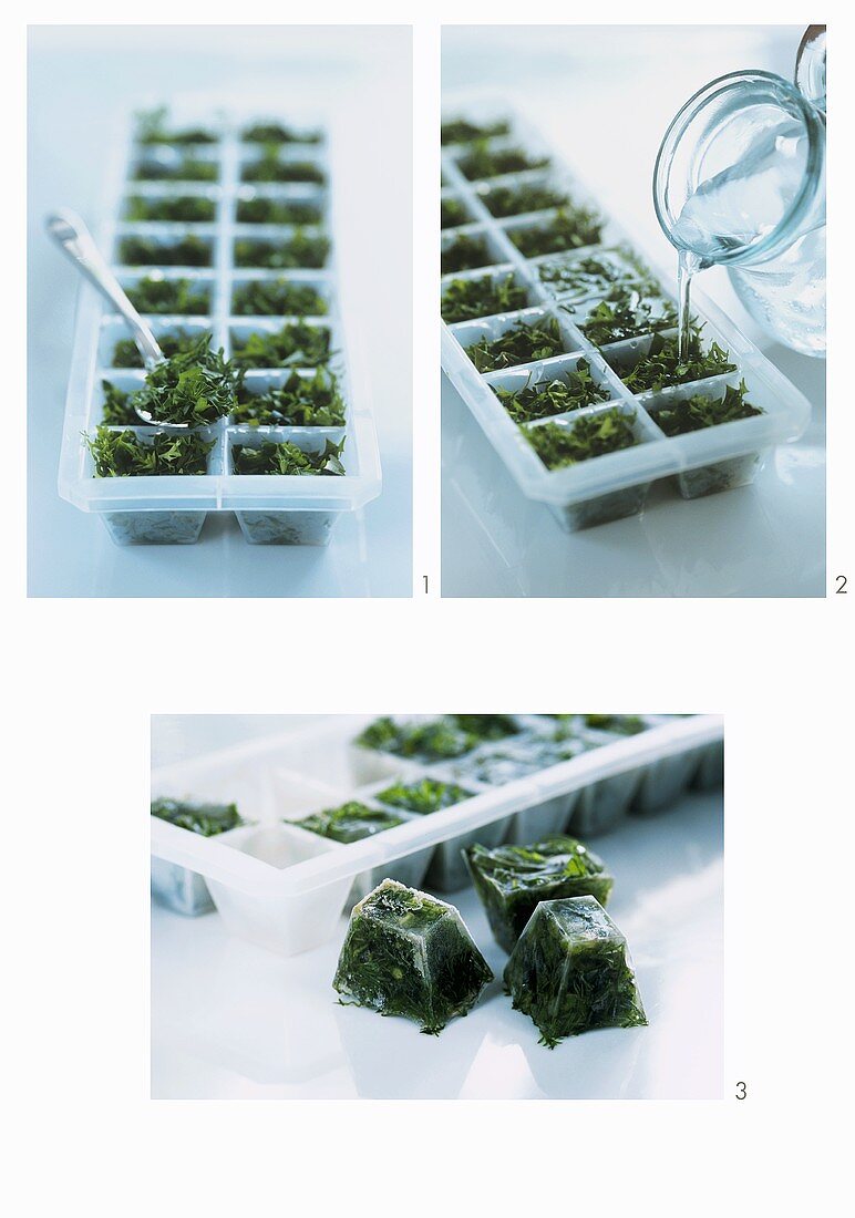 Freezing herbs in an ice cube tray