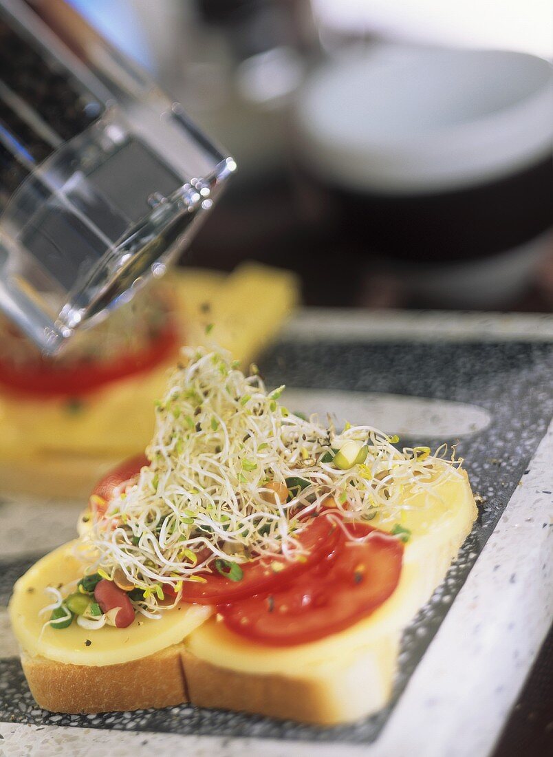 Tomatoes and sprouts on white bread