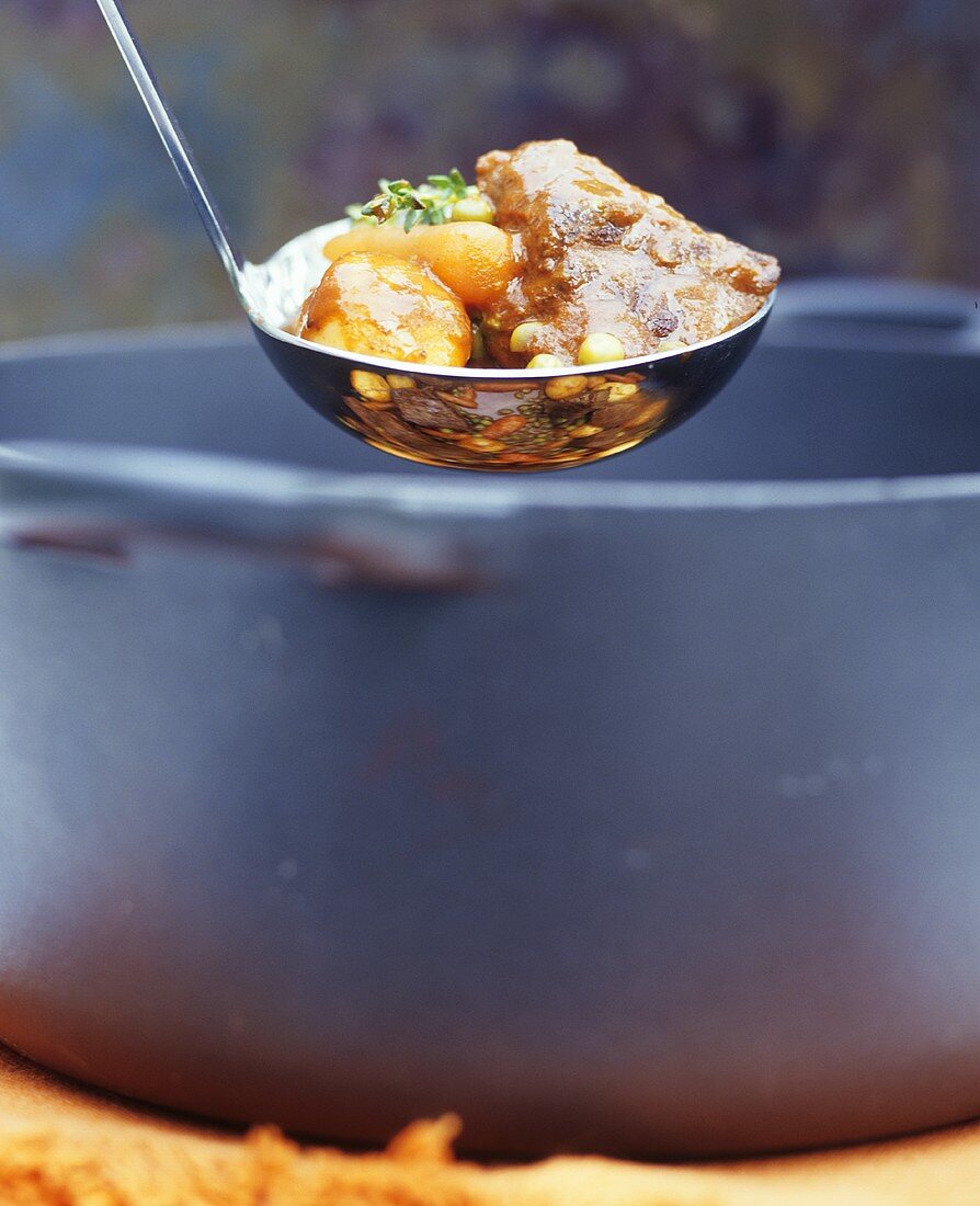 Beef stew with vegetables in ladle