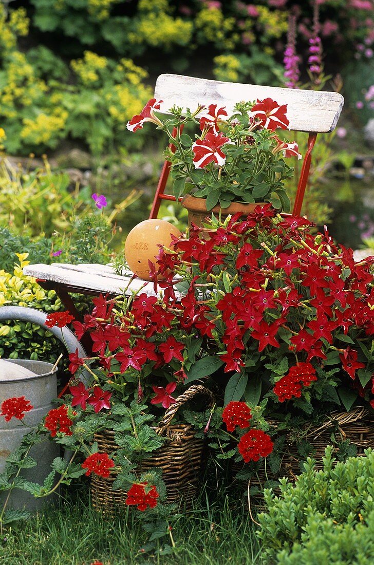 Garden chair decorated with red flowers