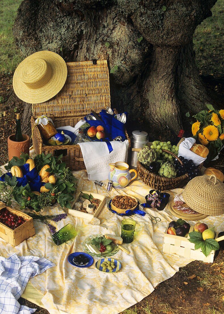 Fruit, vegetables, cheese, rolls etc. on picnic cloth