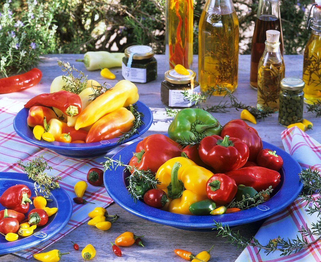 Assorted peppers and chillies and home-made oils