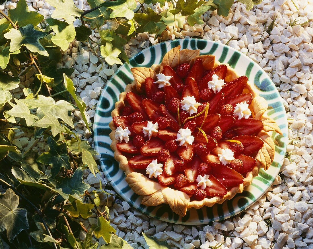 Sommerlicher Erdbeerkuchen