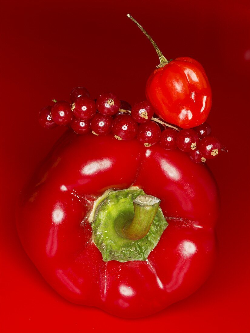 Red pepper, redcurrants and chilli