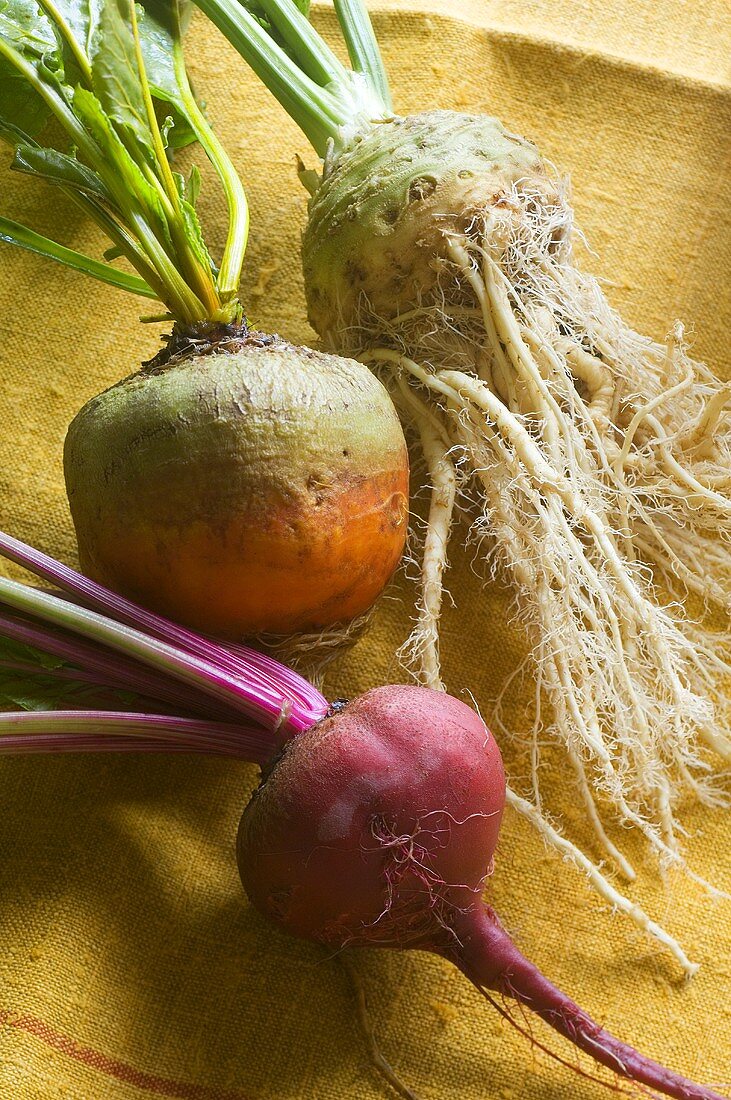 Root vegetables