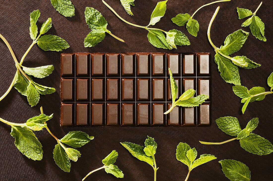 Bar of chocolate with mint leaves