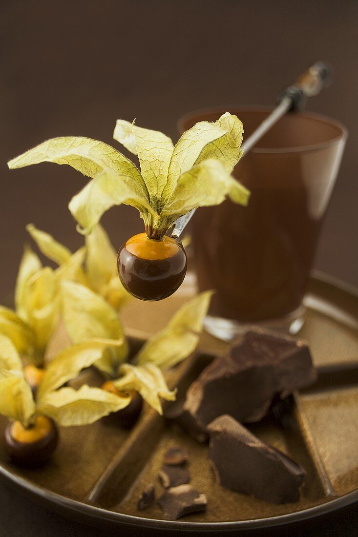 Chocolate-coated physalis and pieces of chocolate