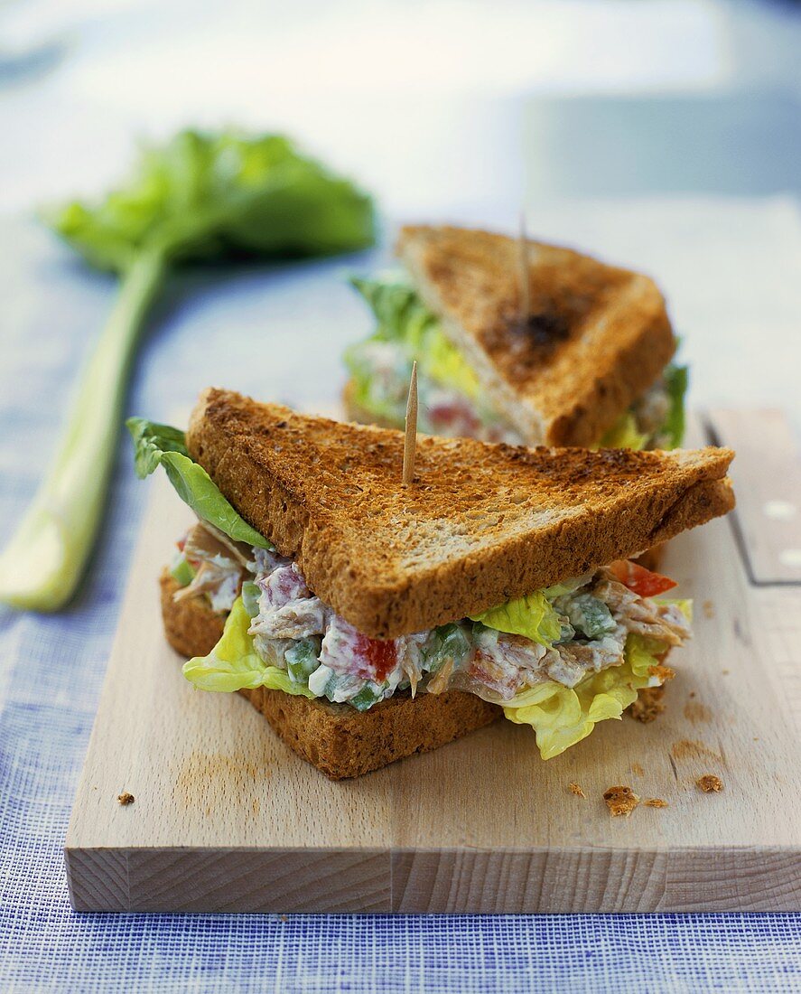 Tuna sandwich in toasted bread