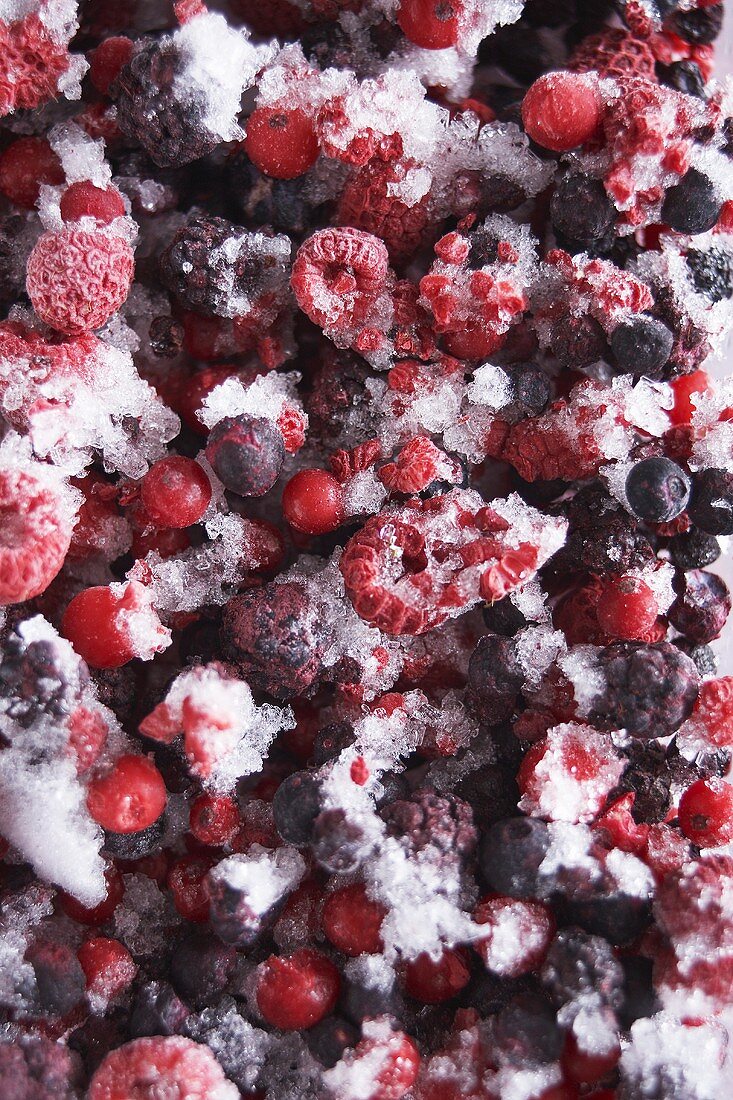 Frozen fruits of the forest