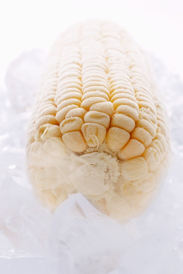 Frozen corn on the cob on ice (close-up)