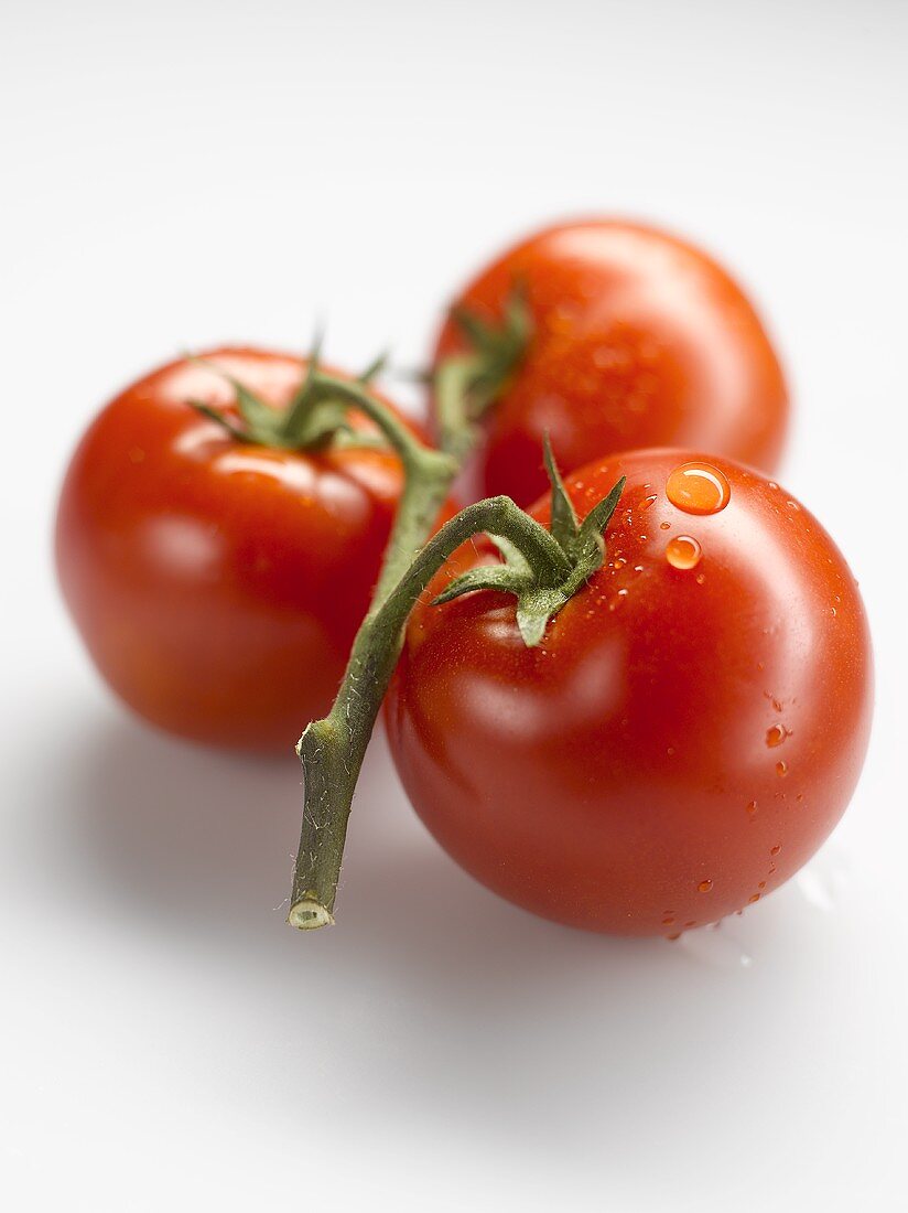 Drei Tomaten mit Wassertropfen