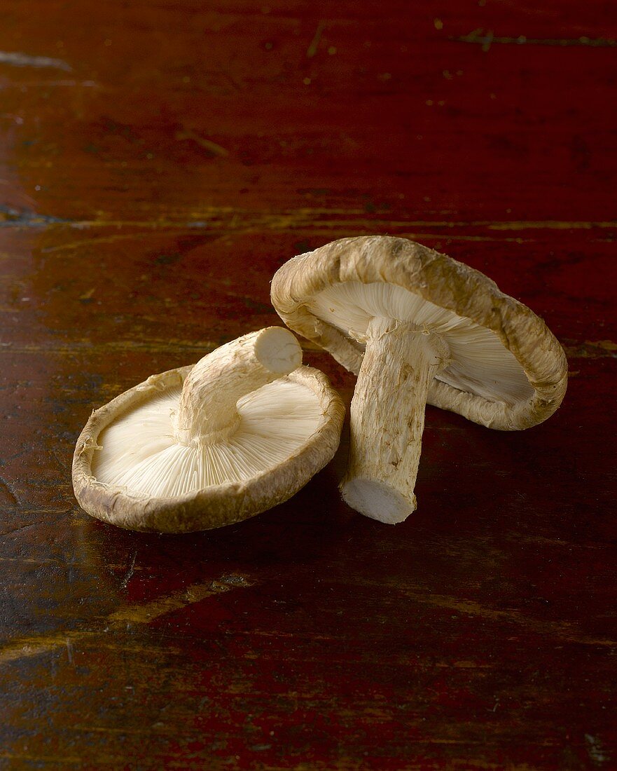 Two shiitake mushrooms