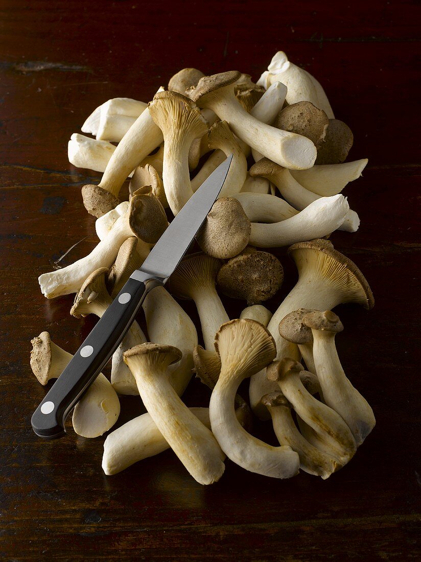 Many ceps with knife