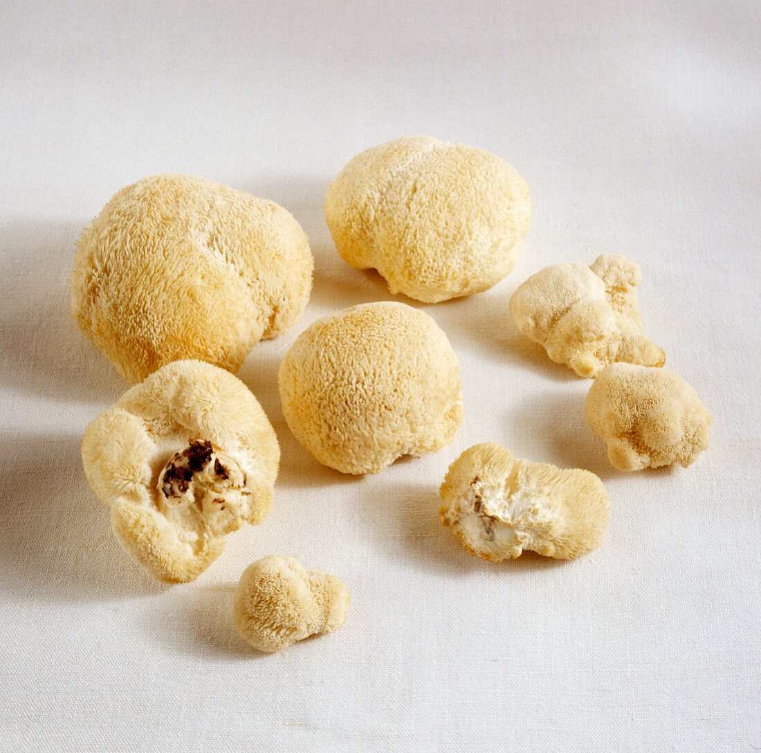 Lion's mane mushrooms