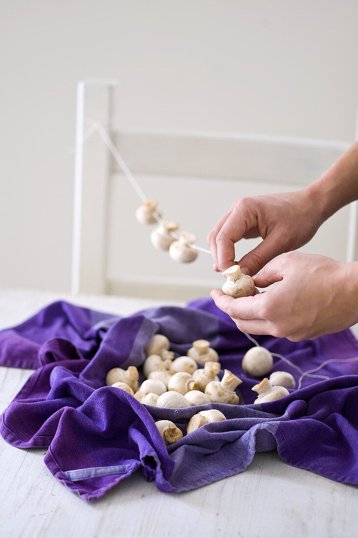 Champignons auf eine Schnur zum Trocknen reihen