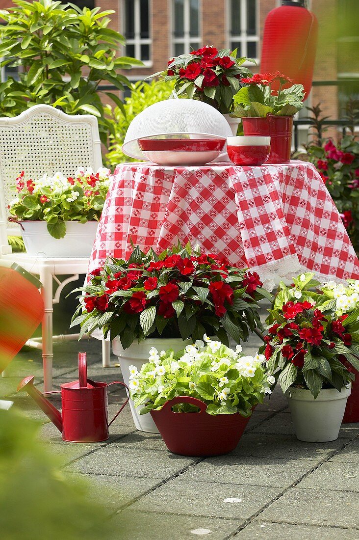 Garden furniture and summer flowers on terrace