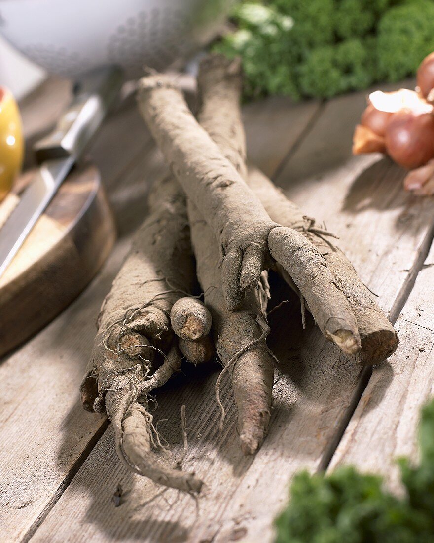 Greater burdock roots (Arctium lappa) on wooden table