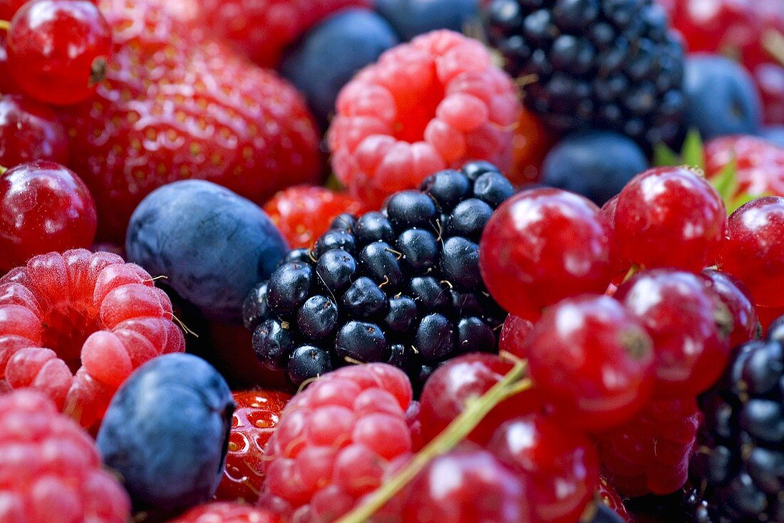 Mixed Berries, Close Up