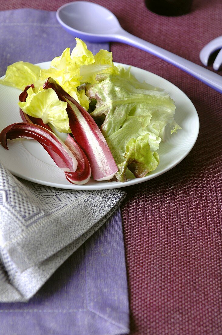 Mixed salad leaves on plate