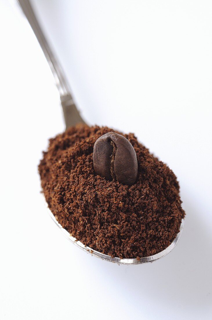 A spoonful of ground coffee with coffee bean