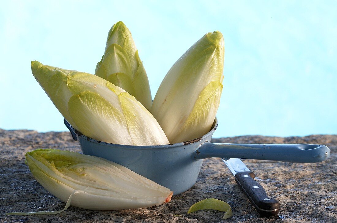 Chicory in a saucepan