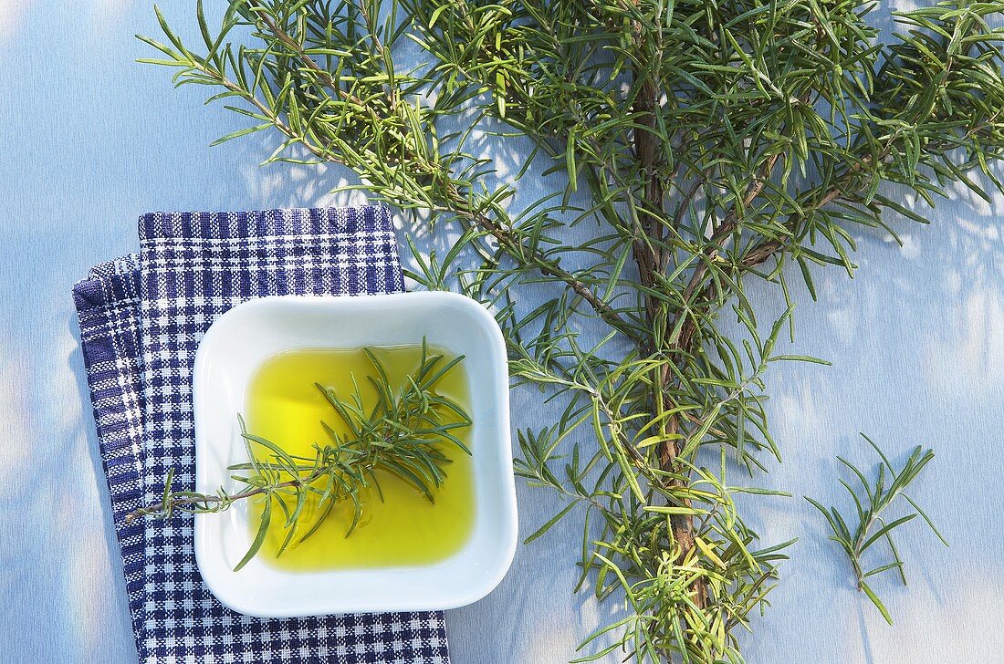 Rosemary branch and small dish of oil