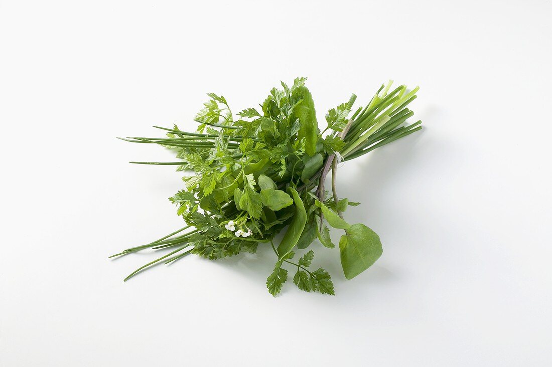 Bunch of spring herbs