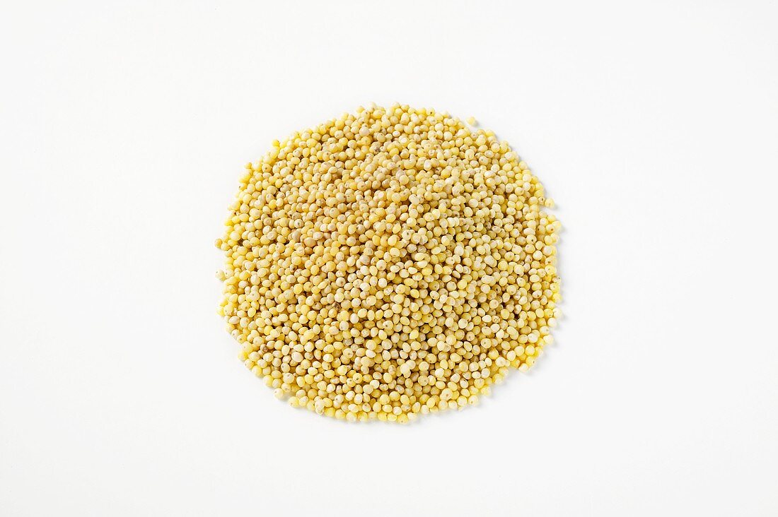 Millet grains