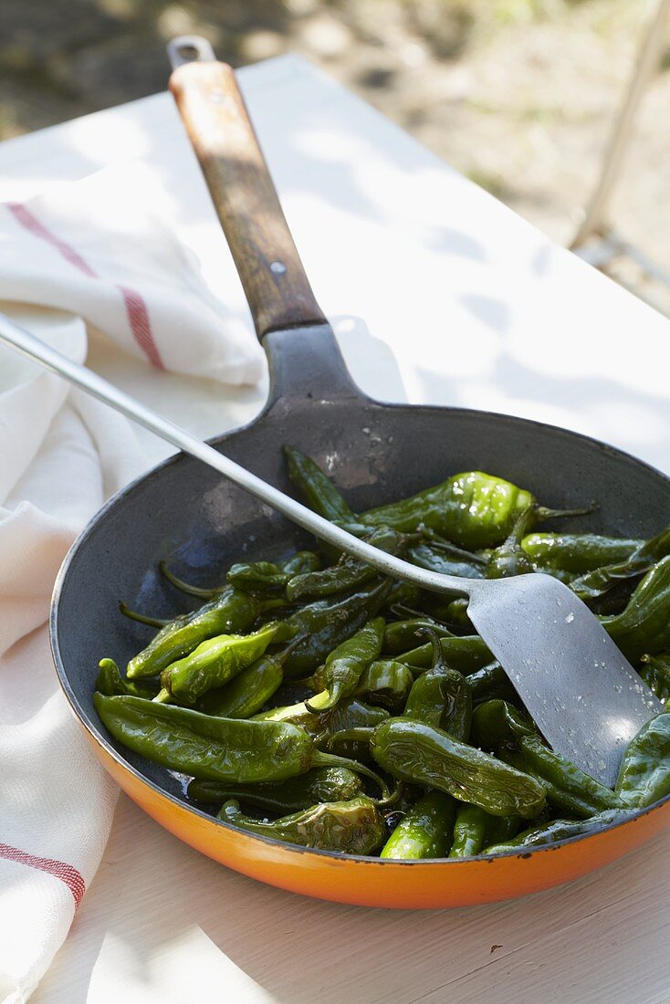 Pimientos de Padron in a frying pan