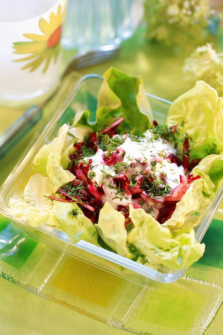 Rote-Bete-Salat