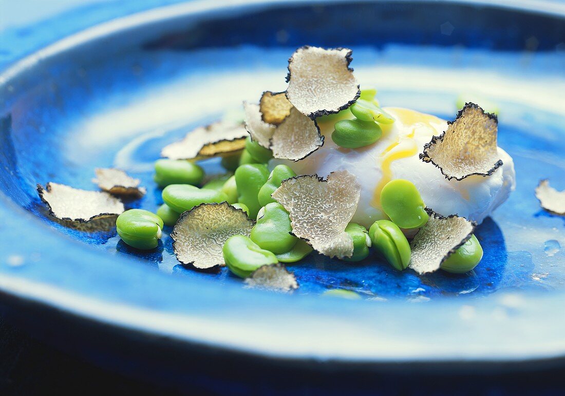 Poached egg with truffle and beans