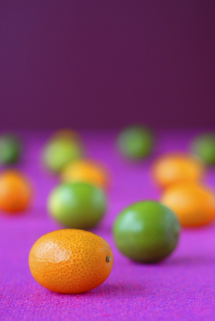 Kumquats und Limquats