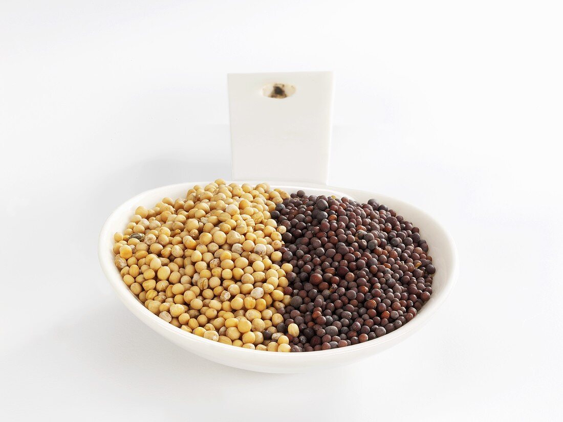 Yellow and brown mustard seeds