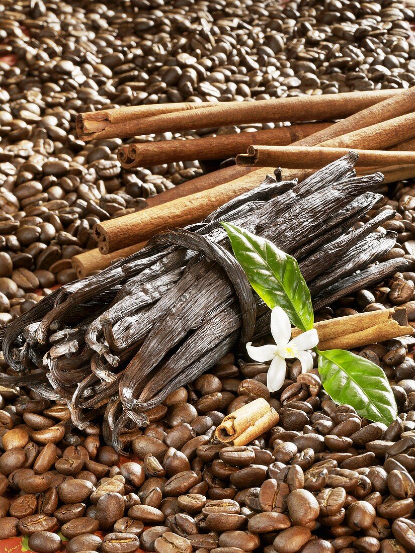 Coffee beans, vanilla pods and cinnamon sticks