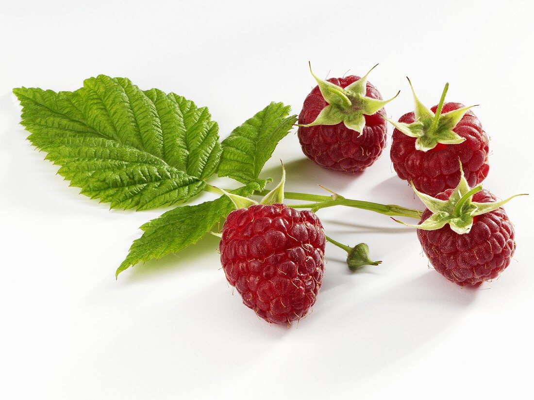 Raspberries with leaves