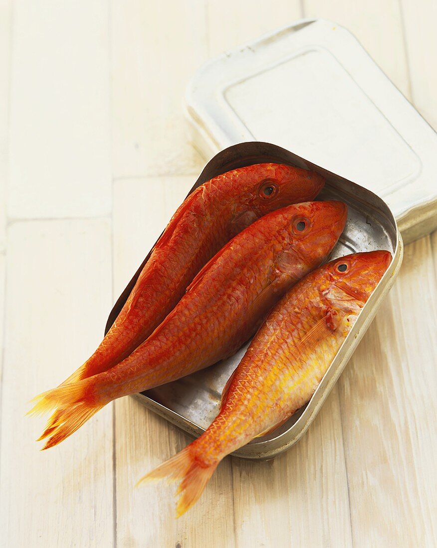 Three red mullets in a tin