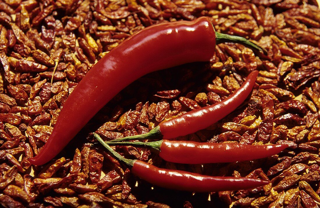 Fresh and dried chillies